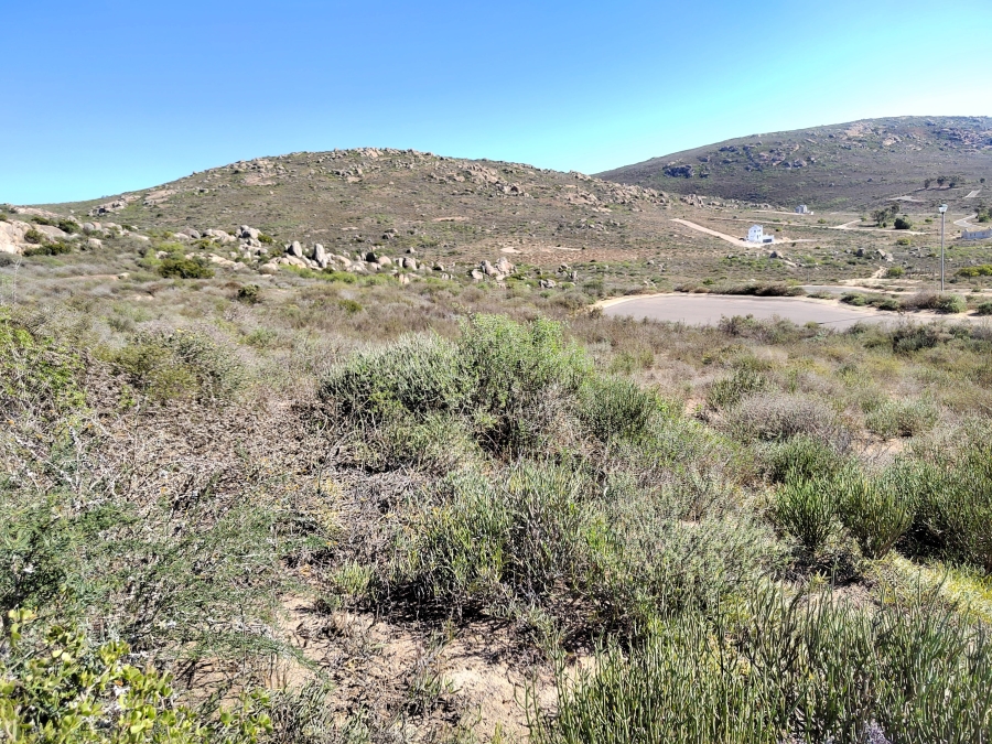 0 Bedroom Property for Sale in Steenbergs Cove Western Cape